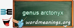 WordMeaning blackboard for genus arctonyx